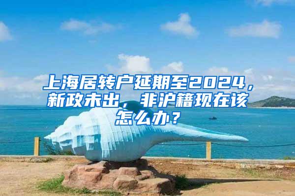 上海居转户延期至2024，新政未出，非沪籍现在该怎么办？