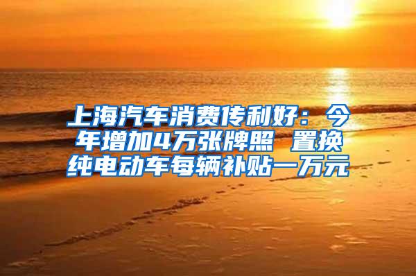 上海汽车消费传利好：今年增加4万张牌照 置换纯电动车每辆补贴一万元