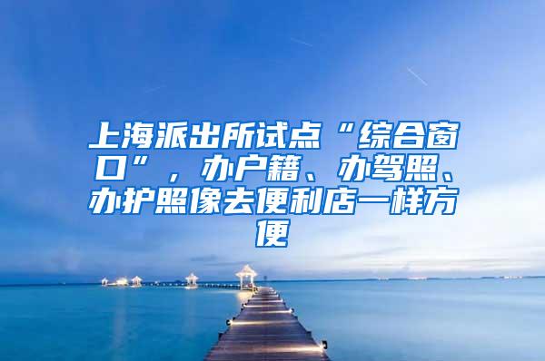 上海派出所试点“综合窗口”，办户籍、办驾照、办护照像去便利店一样方便