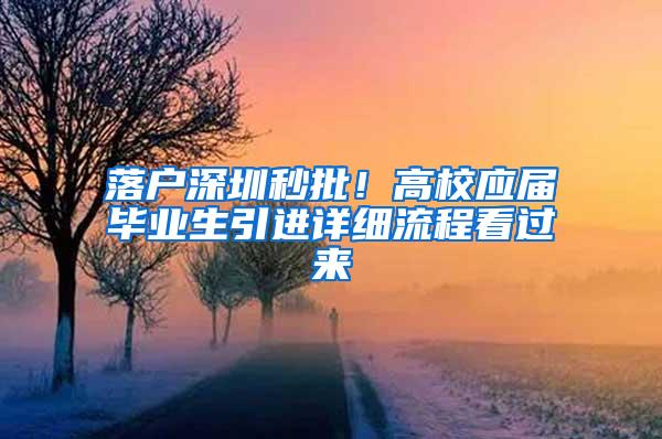 落户深圳秒批！高校应届毕业生引进详细流程看过来