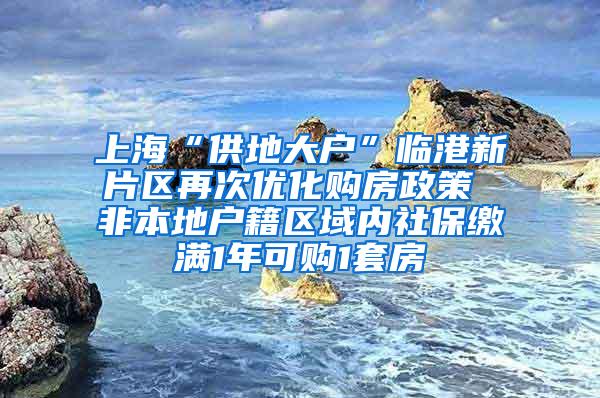 上海“供地大户”临港新片区再次优化购房政策 非本地户籍区域内社保缴满1年可购1套房