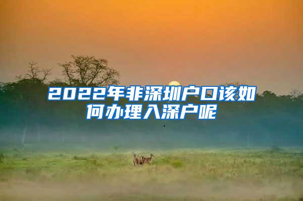 2022年非深圳户口该如何办理入深户呢