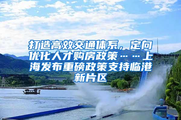 打造高效交通体系，定向优化人才购房政策……上海发布重磅政策支持临港新片区