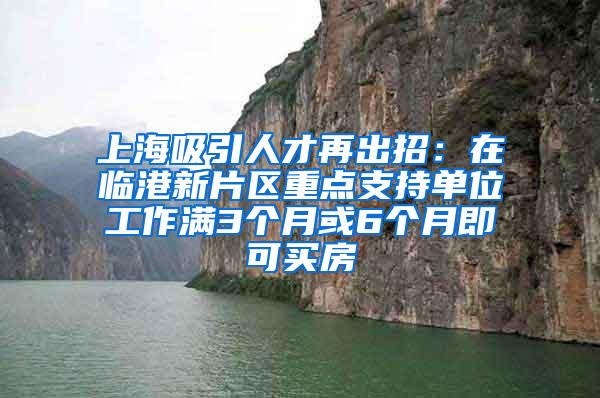 上海吸引人才再出招：在临港新片区重点支持单位工作满3个月或6个月即可买房