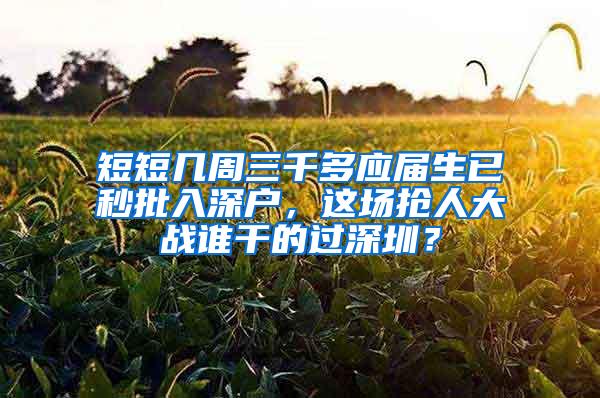 短短几周三千多应届生已秒批入深户，这场抢人大战谁干的过深圳？