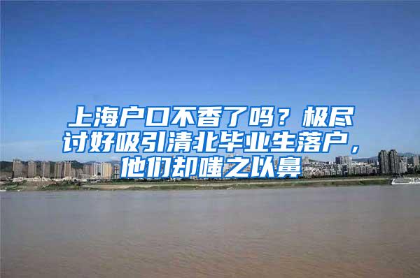 上海户口不香了吗？极尽讨好吸引清北毕业生落户，他们却嗤之以鼻