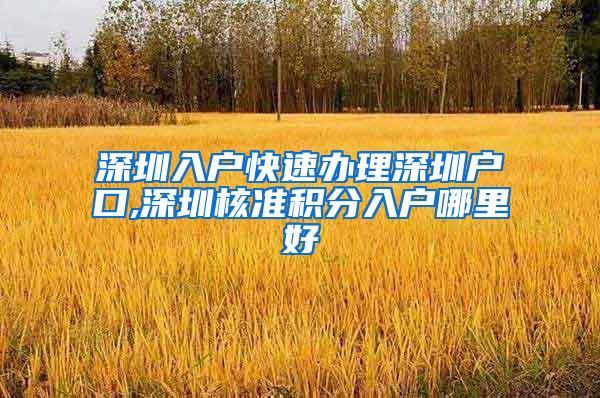 深圳入户快速办理深圳户口,深圳核准积分入户哪里好