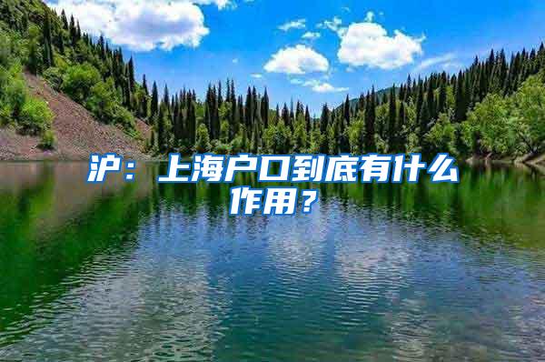 沪：上海户口到底有什么作用？