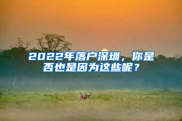 2022年落户深圳，你是否也是因为这些呢？