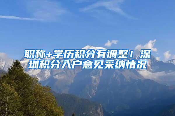 职称+学历积分有调整！深圳积分入户意见采纳情况