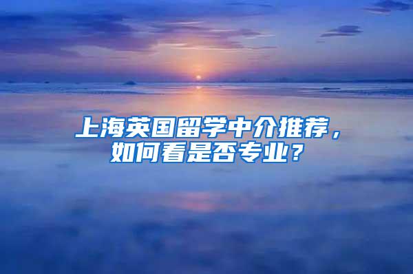 上海英国留学中介推荐，如何看是否专业？