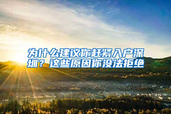 为什么建议你赶紧入户深圳？这些原因你没法拒绝