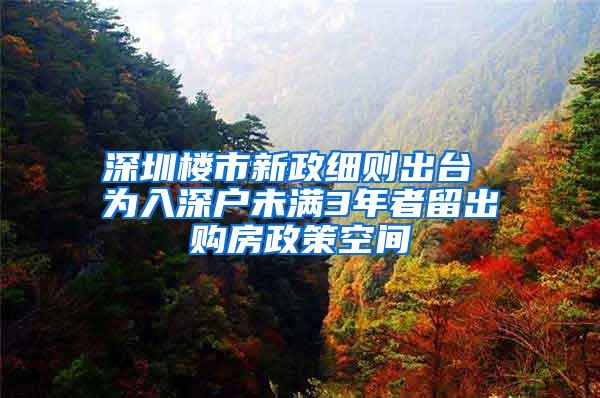 深圳楼市新政细则出台 为入深户未满3年者留出购房政策空间