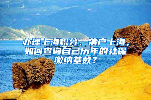 办理上海积分、落户上海，如何查询自己历年的社保缴纳基数？