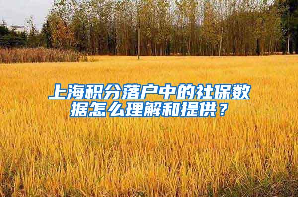 上海积分落户中的社保数据怎么理解和提供？