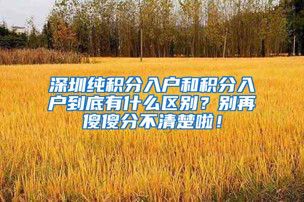 深圳纯积分入户和积分入户到底有什么区别？别再傻傻分不清楚啦！