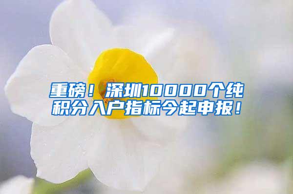 重磅！深圳10000个纯积分入户指标今起申报！