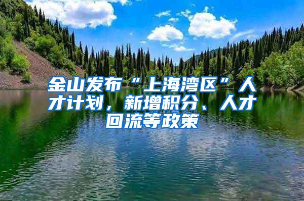 金山发布“上海湾区”人才计划，新增积分、人才回流等政策