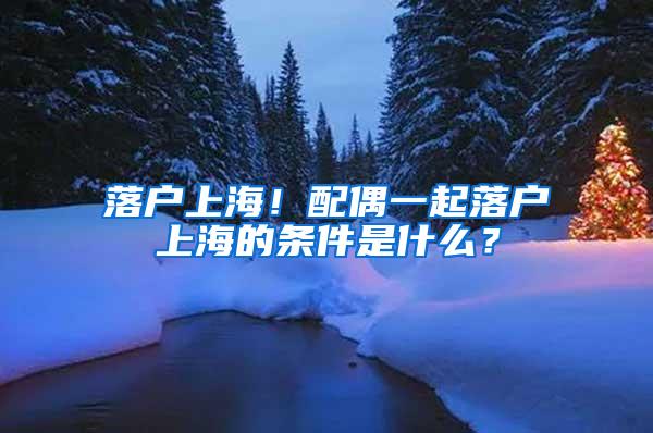 落户上海！配偶一起落户上海的条件是什么？