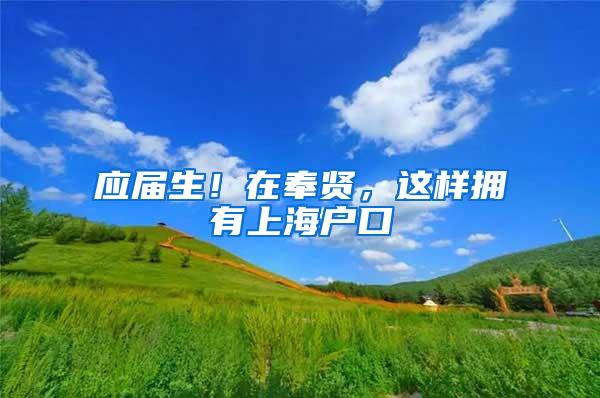 应届生！在奉贤，这样拥有上海户口