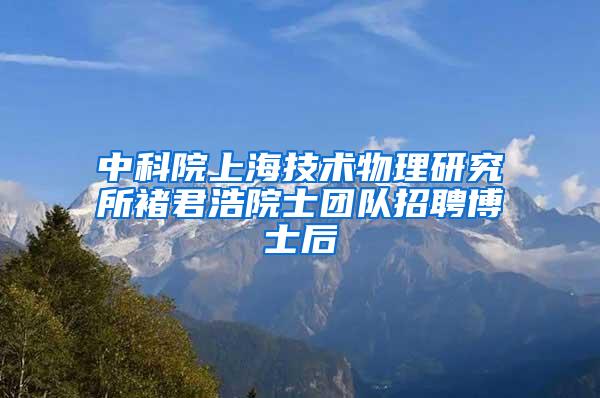 中科院上海技术物理研究所褚君浩院士团队招聘博士后