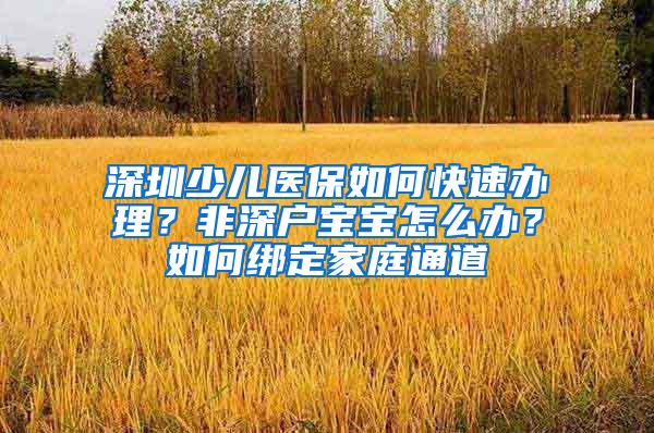 深圳少儿医保如何快速办理？非深户宝宝怎么办？如何绑定家庭通道