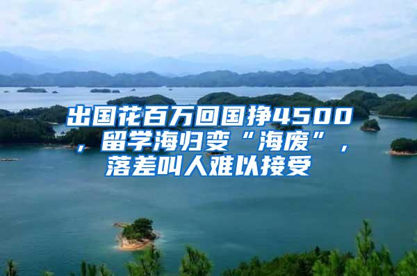 出国花百万回国挣4500，留学海归变“海废”，落差叫人难以接受