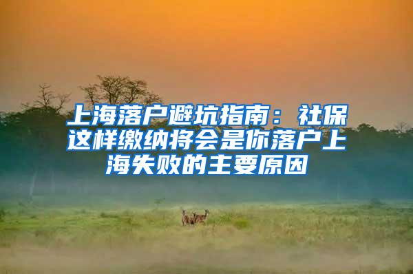 上海落户避坑指南：社保这样缴纳将会是你落户上海失败的主要原因