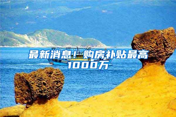 最新消息！购房补贴最高1000万