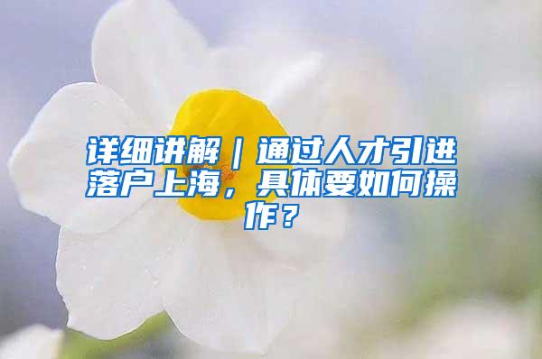 详细讲解｜通过人才引进落户上海，具体要如何操作？