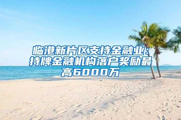 临港新片区支持金融业：持牌金融机构落户奖励最高6000万