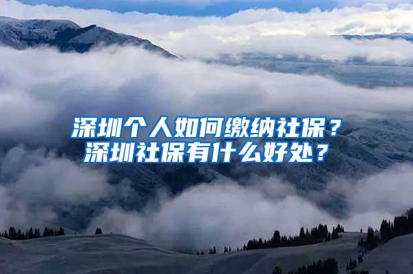 深圳个人如何缴纳社保？深圳社保有什么好处？