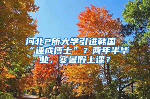 河北2所大学引进韩国“速成博士”？两年半毕业，寒暑假上课？