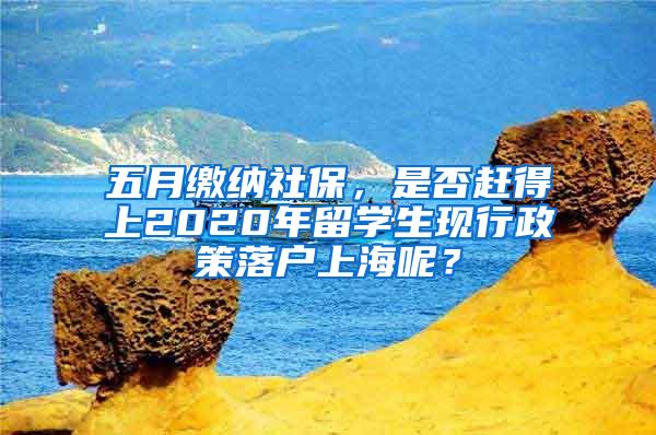 五月缴纳社保，是否赶得上2020年留学生现行政策落户上海呢？