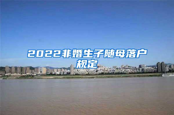 2022非婚生子随母落户规定