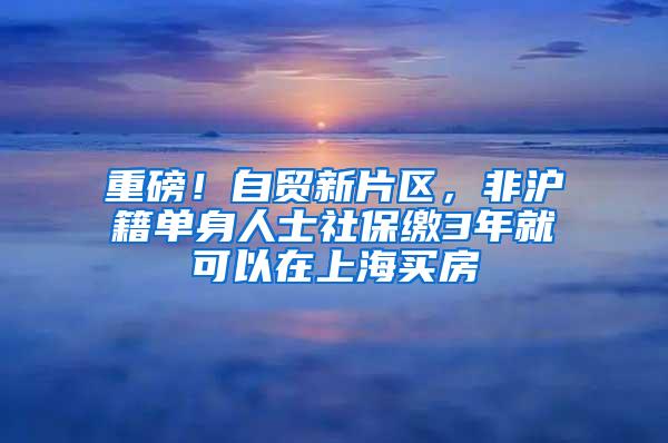 重磅！自贸新片区，非沪籍单身人士社保缴3年就可以在上海买房