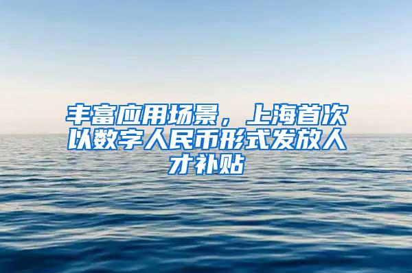 丰富应用场景，上海首次以数字人民币形式发放人才补贴