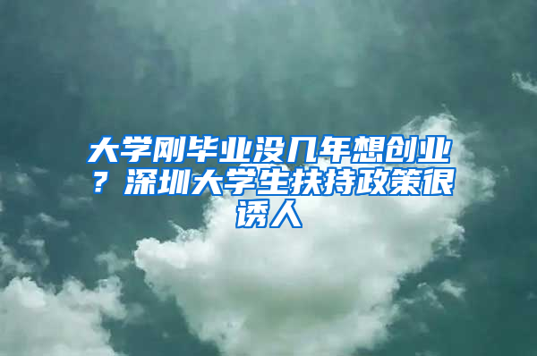 大学刚毕业没几年想创业？深圳大学生扶持政策很诱人