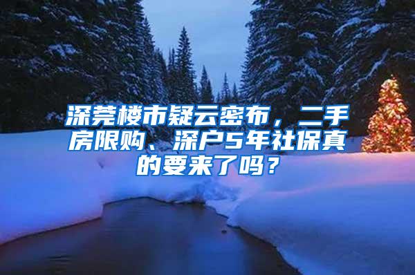 深莞楼市疑云密布，二手房限购、深户5年社保真的要来了吗？