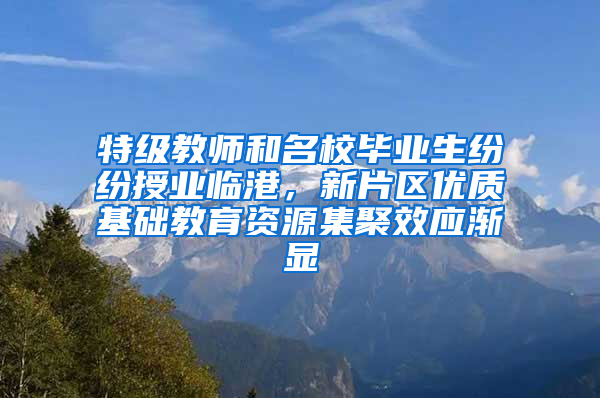 特级教师和名校毕业生纷纷授业临港，新片区优质基础教育资源集聚效应渐显