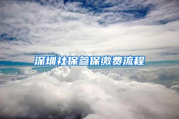 深圳社保参保缴费流程