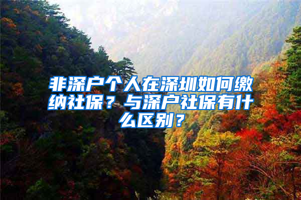 非深户个人在深圳如何缴纳社保？与深户社保有什么区别？