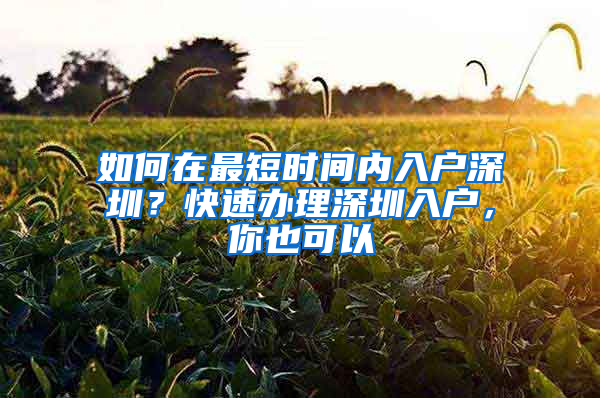 如何在最短时间内入户深圳？快速办理深圳入户，你也可以