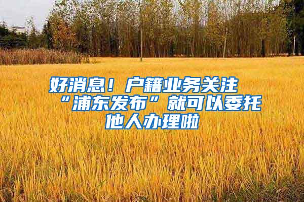 好消息！户籍业务关注“浦东发布”就可以委托他人办理啦