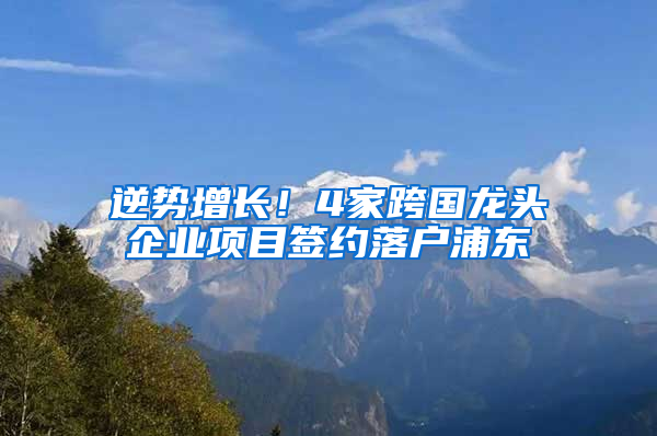 逆势增长！4家跨国龙头企业项目签约落户浦东