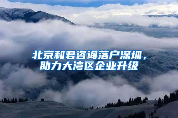 北京和君咨询落户深圳，助力大湾区企业升级