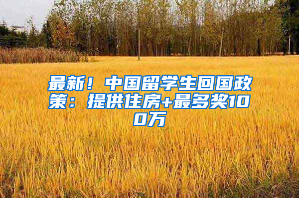 最新！中国留学生回国政策：提供住房+最多奖100万