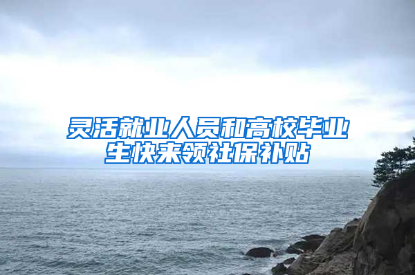 灵活就业人员和高校毕业生快来领社保补贴