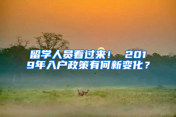 留学人员看过来！ 2019年入户政策有何新变化？