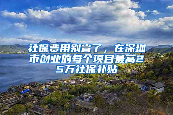 社保费用别省了，在深圳市创业的每个项目最高25万社保补贴